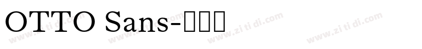 OTTO Sans字体转换